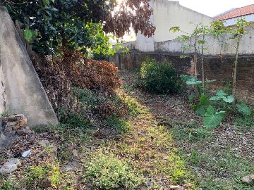 Terreno 
