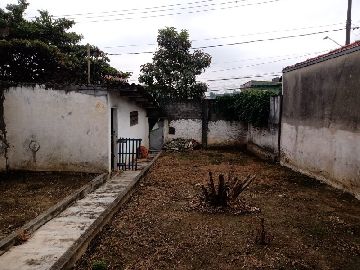 Quintal 