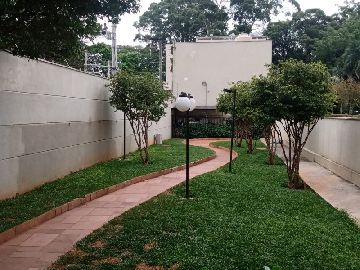 Paisagismo 