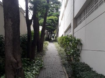 Pista de Passeio