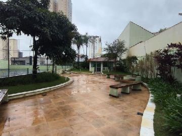 Paisagismo 