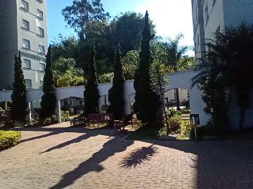Paisagismo 