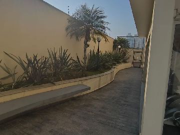 Paisagismo 