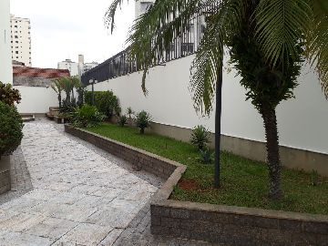 Paisagismo 