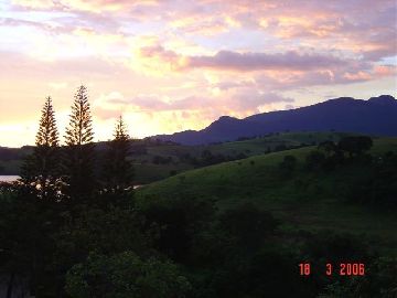 Paisagismo 
