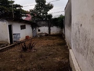 Quintal 