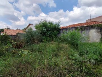 Terreno 