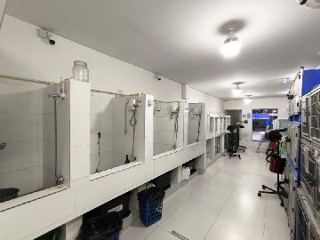 Espa�o para Tosa e banho