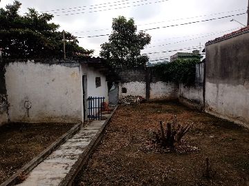 Quintal 