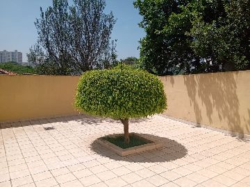 Quintal 