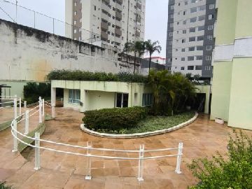Paisagismo 