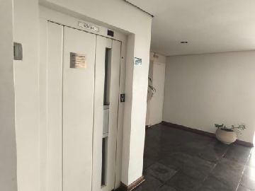 Elevadores 