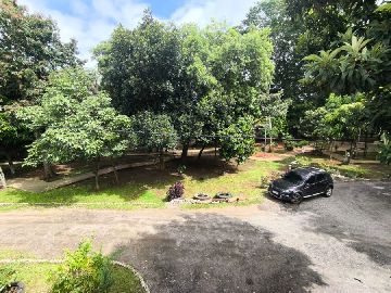 Paisagismo 
