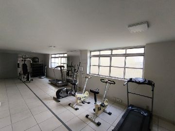 Academia 