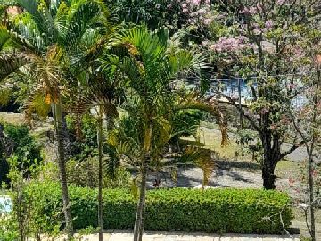 Paisagismo 