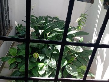 Jardim de Inverno 