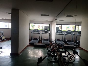 Academia 