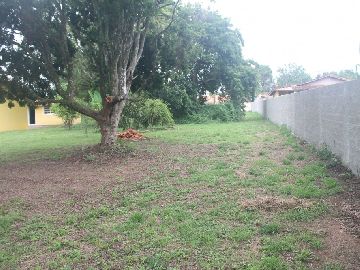 Paisagismo 