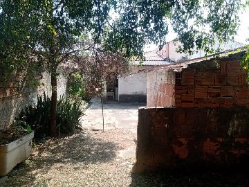 Quintal 
