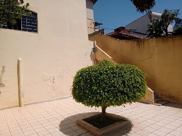 Quintal 