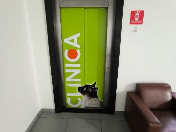 Elevadores 