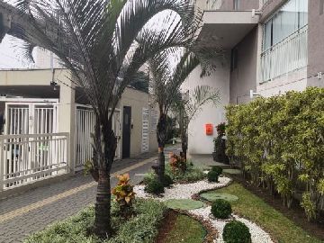Paisagismo
