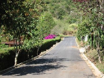 Paisagismo 