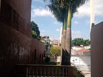 Paisagismo 