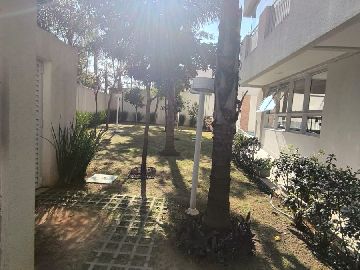 Paisagismo 
