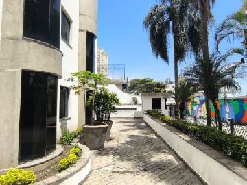 Paisagismo 