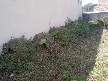 Terreno 