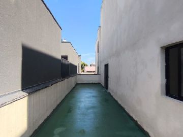 Rooftop 
