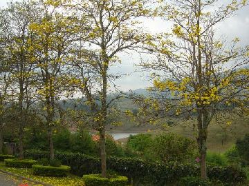 Paisagismo 