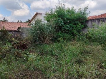 Terreno 