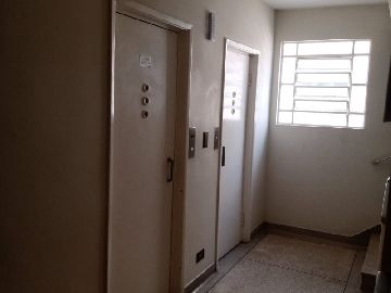 Elevadores 