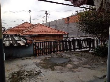 Quintal Ed�cula 