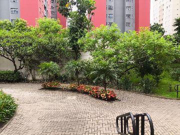 Paisagismo 