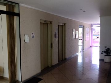 Elevadores 