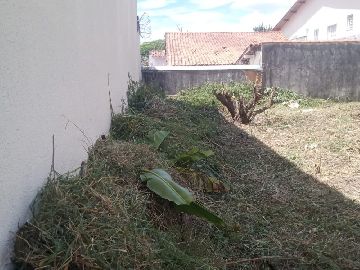 Terreno 