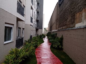Pista para corrida 