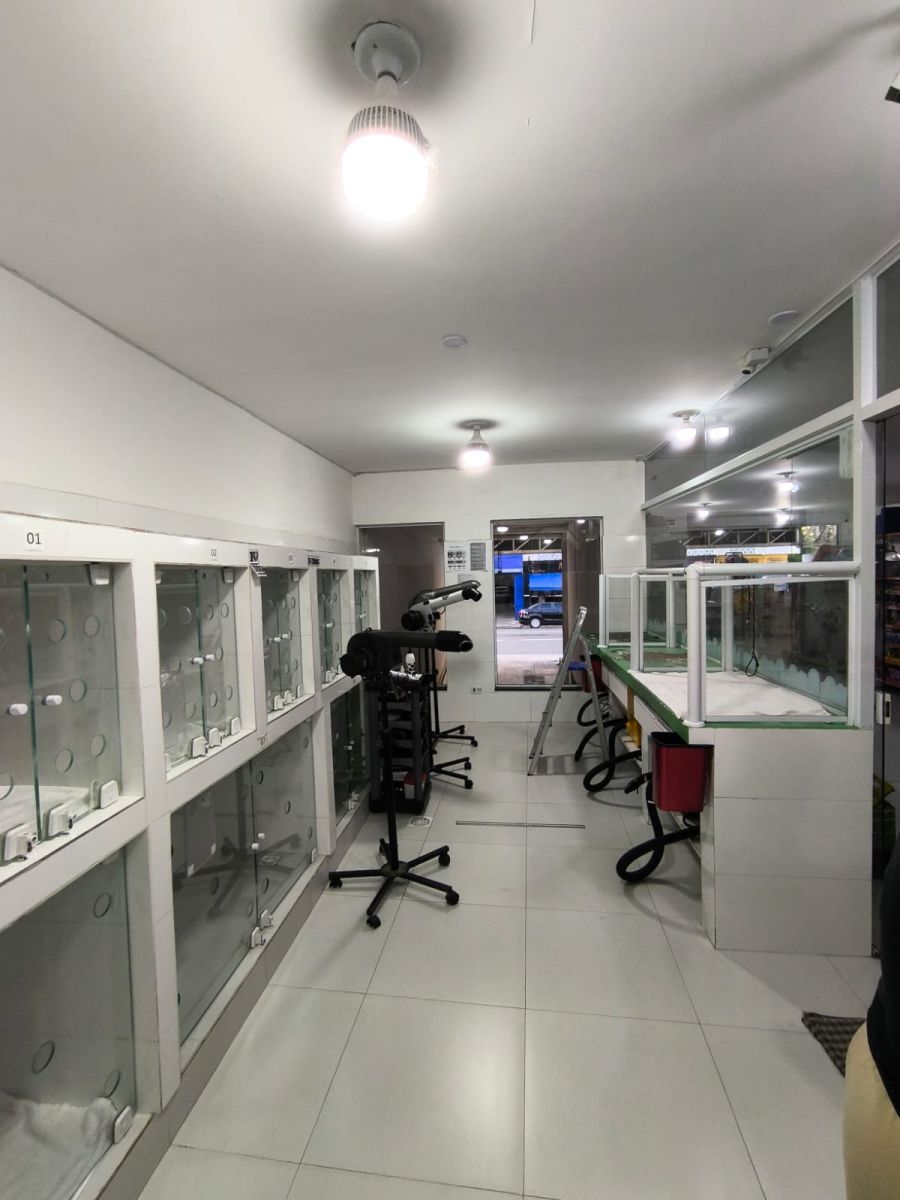 Espa�o para Tosa e banho