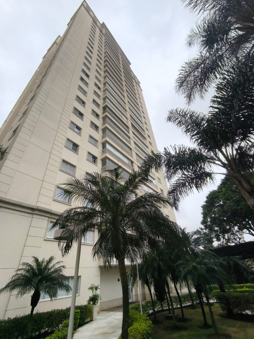 Apartamento - Aluguel - Mooca - São Paulo - SP