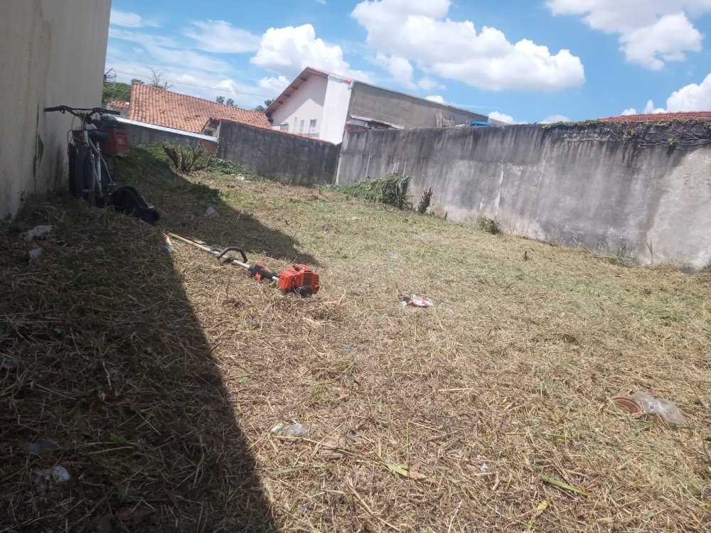 Terreno - Venda - Jardim Avelino - So Paulo - SP