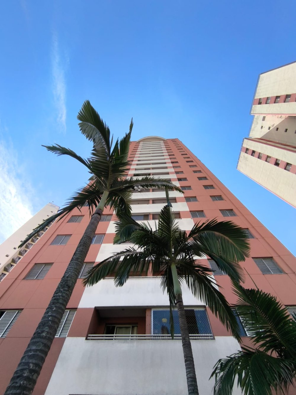 Apartamento - Venda - Cambuci - São Paulo - SP