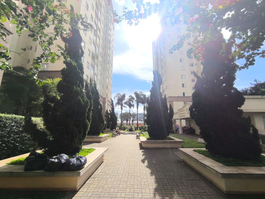 Paisagismo 