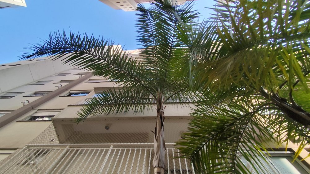 Apartamento - Venda - Casa Verde - São Paulo - SP