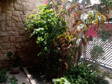Paisagismo 