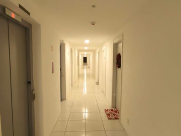 Elevadores 