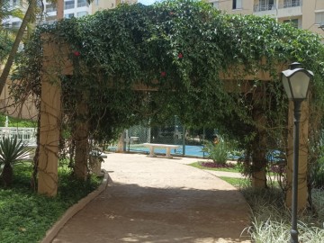 Pista e Paisagismo 