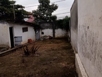 Quintal 
